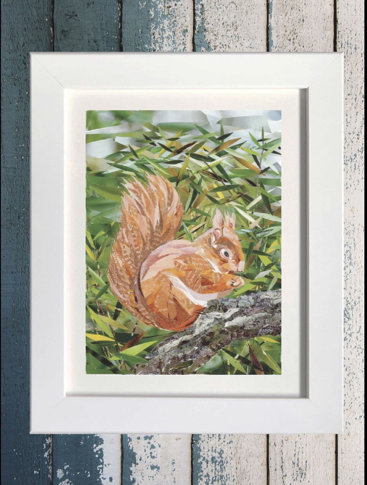 Red Squirrel Tresco, Isles of Scilly Collage Print