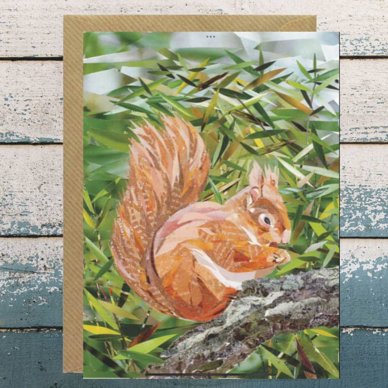 red squirrel card