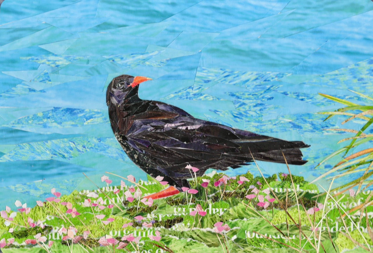 Cornish Chough Art Print - Coastal Collage Inspired by Cornwall Wildlife