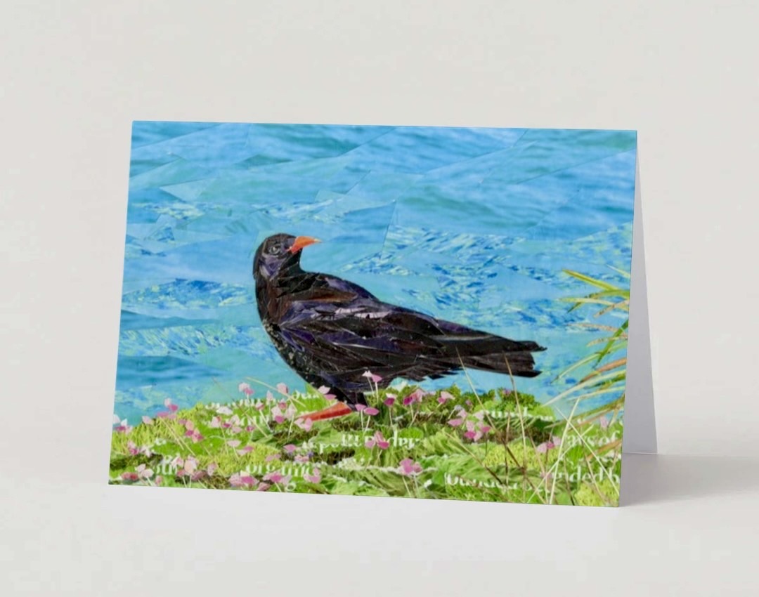 Cornish Chough Greeting Card | Coastal Cornwall Art