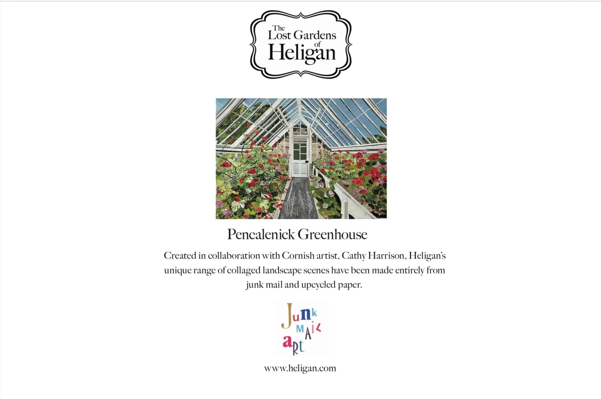 card back of pelargonium greenhouse