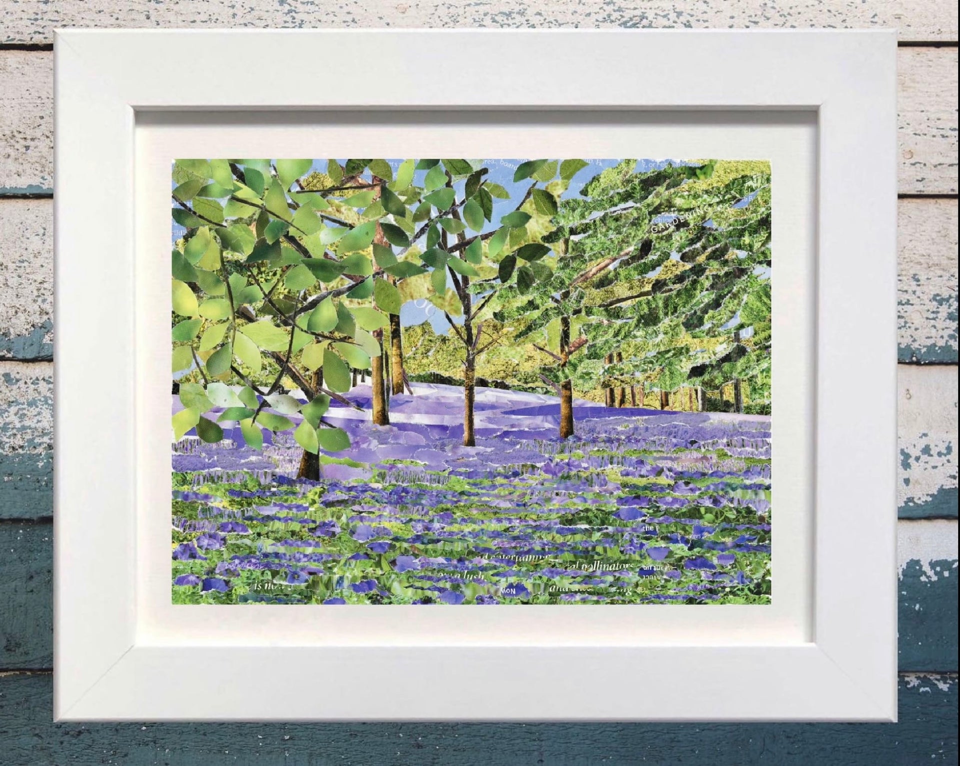 Bluebells in Cornwall paper collage art print