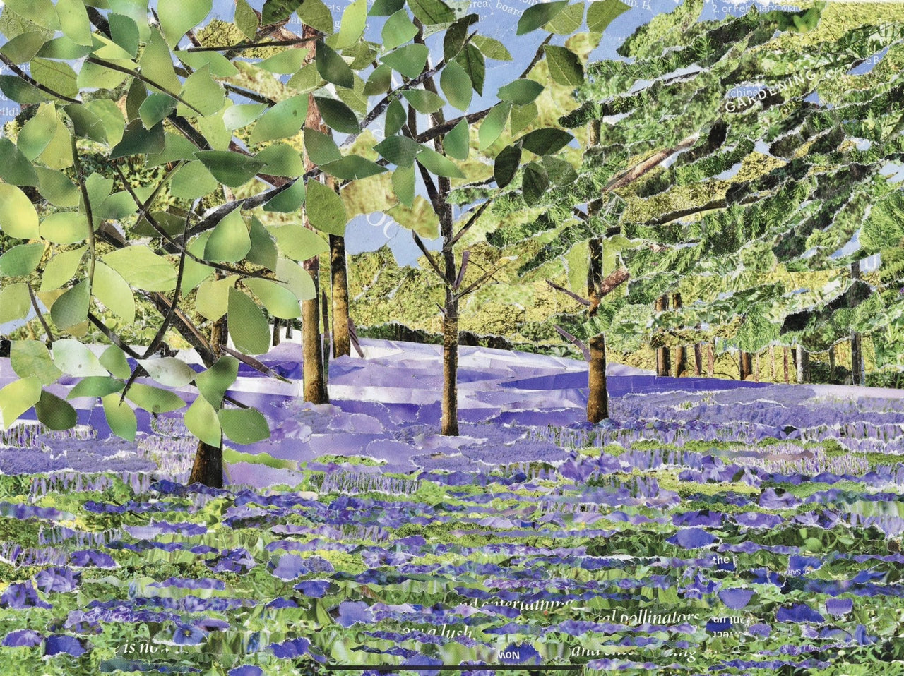 Bluebells at Enys Gardens, Cornwall, Original Paper Collage.
