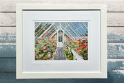 Pelargonium Greenhouse, Lost Gardens of Heligan Collage