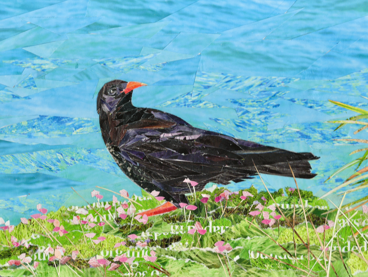 Original Cornish Chough Paper Collage Artwork – Framed Coastal Art