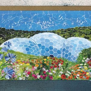 The Biomes, Eden Project, Cornwall Card
